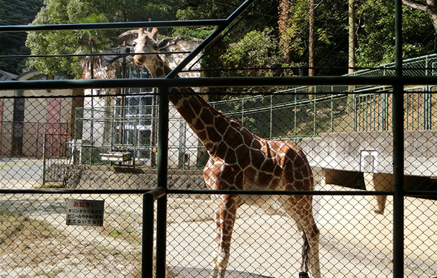 Fukuoka City Zoological Garden