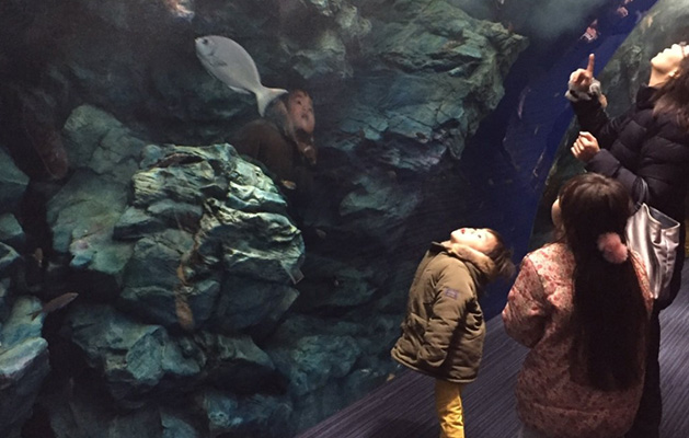 Marine World umino-nakamichi