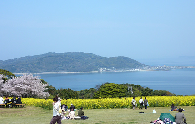 Island Park