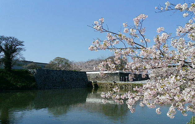 Maizuru Park