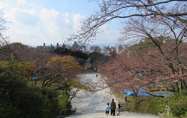 Nishi Park