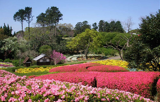 Nokonoshima Island