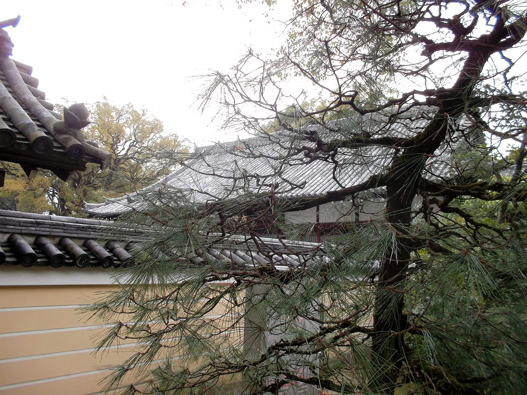 Jotenji Temple, Fukuoka