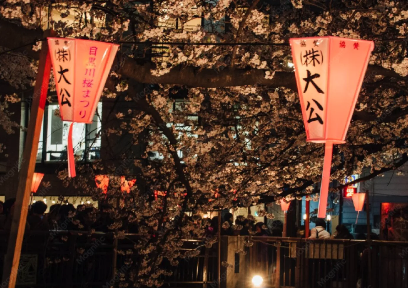 Hakata Gion Yamakasa festival